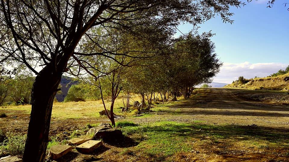 Kocasinan Taşhan Köyü Resimleri 6