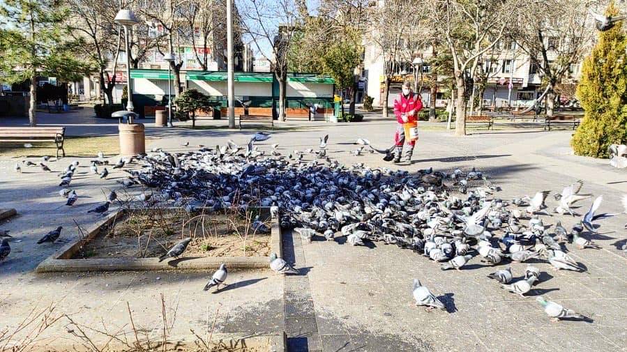 Kocasinan Erkilet Zade Köyü Resimleri 1