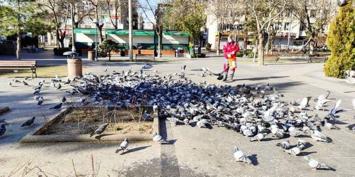 Kocasinan Erkilet Zade Köyü Resimleri