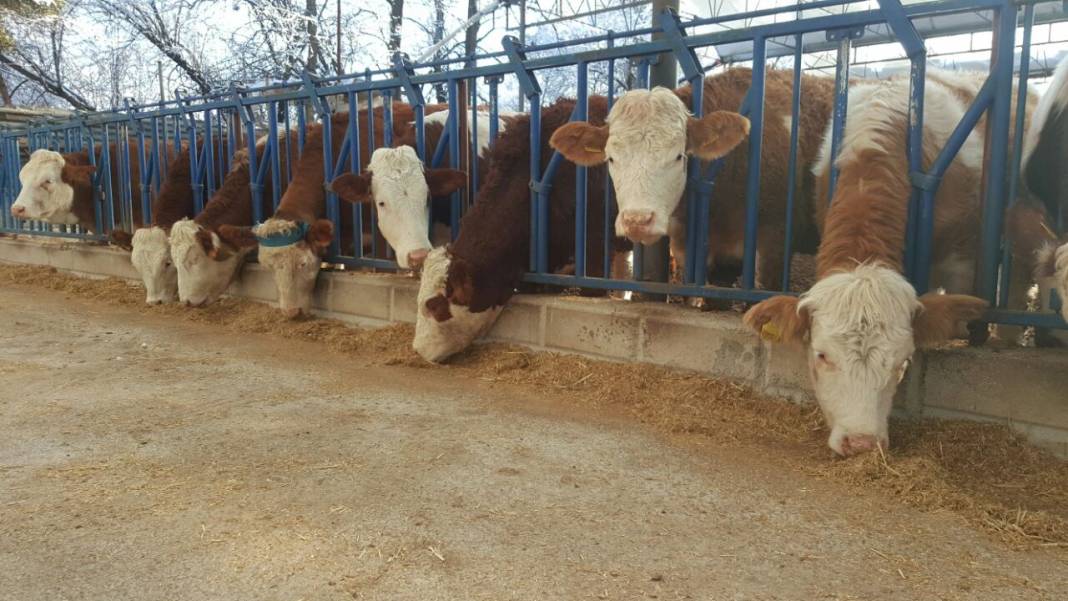 Kocasinan Erkilet 100. Yıl  Köyü Resimleri 1