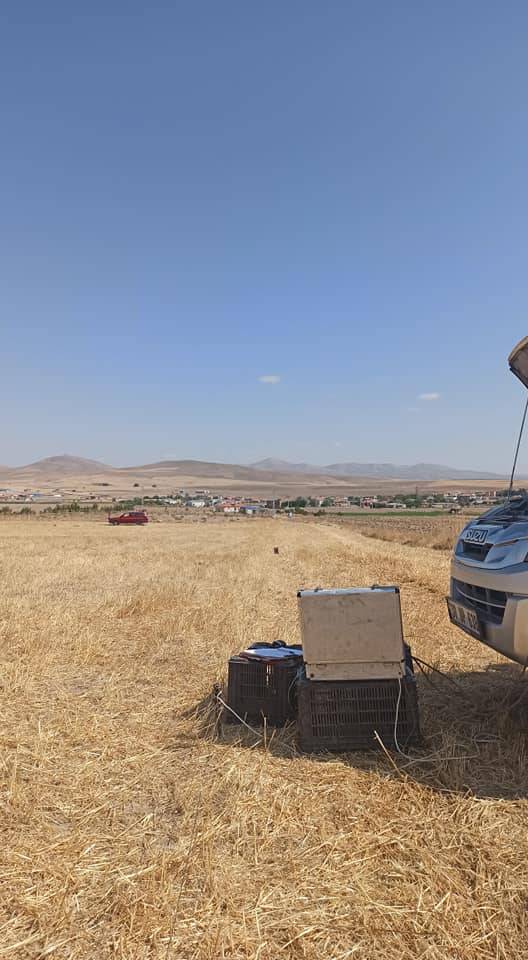 Kocasinan Eskiömerler Köyü Resimleri 1