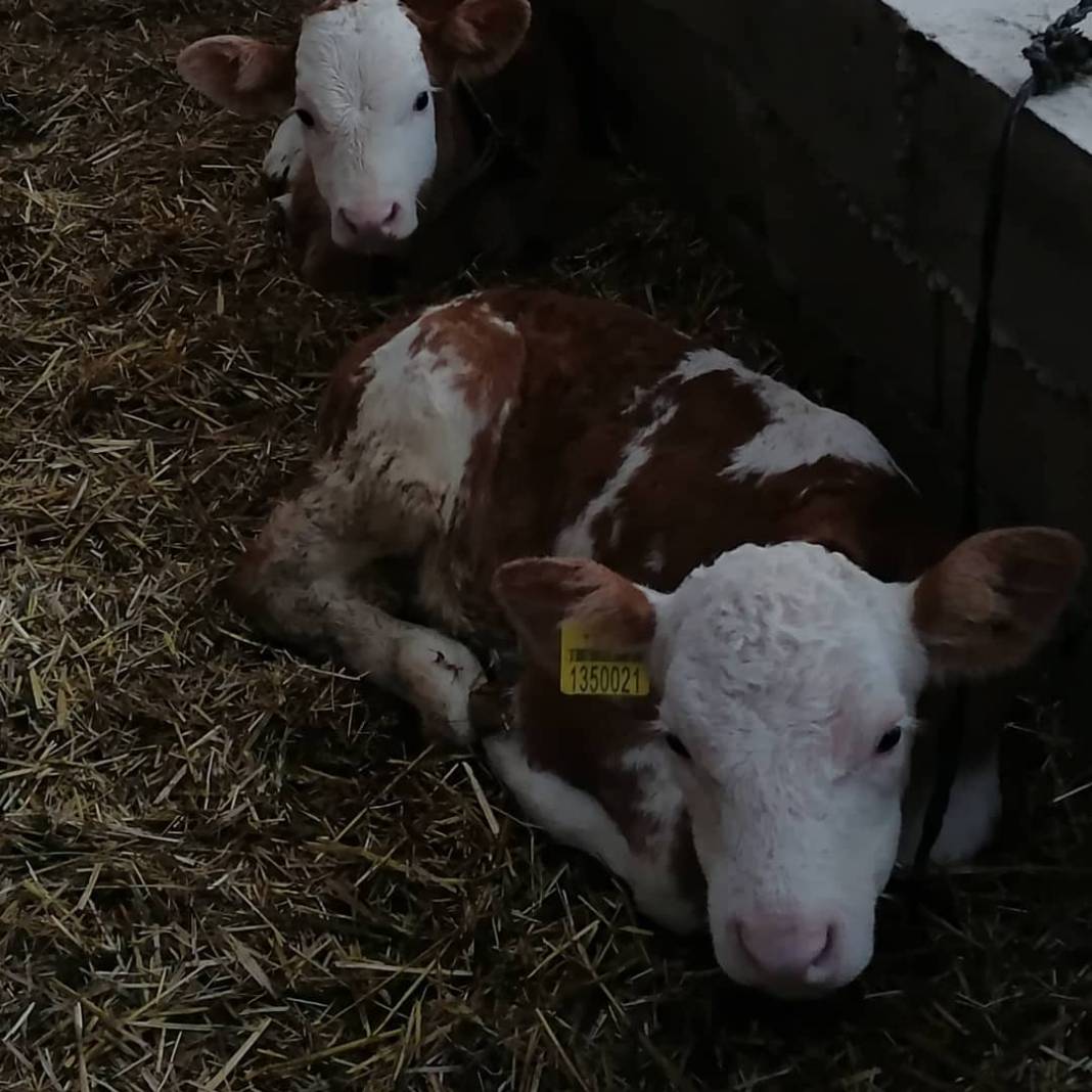 Kocasinan Fatih Köyü Resimleri 1