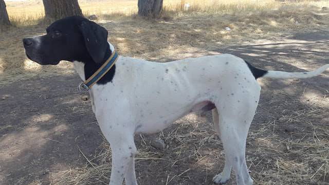 Kocasinan Fatih Köyü Resimleri 3