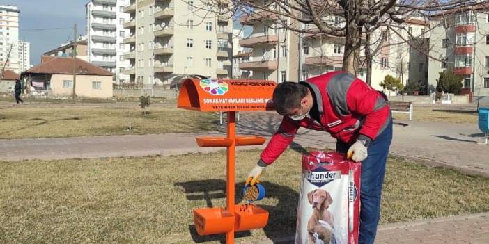 Kocasinan Fevzi Çakmak Köyü Resimleri