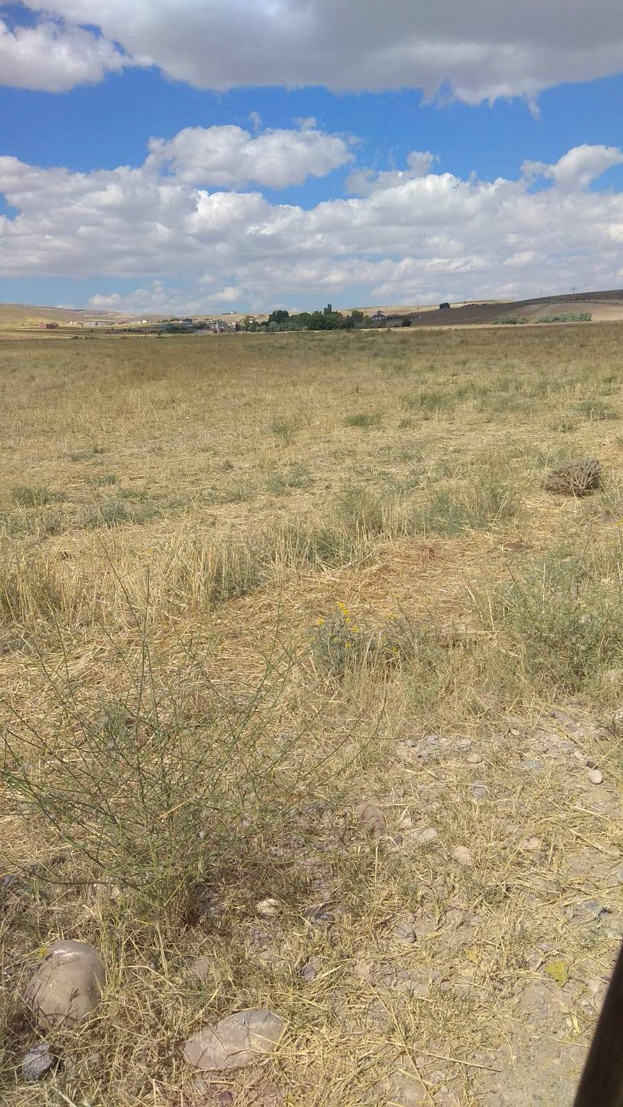 Kocasinan Güneşli Cumhuriyet Köyü Resimleri 1