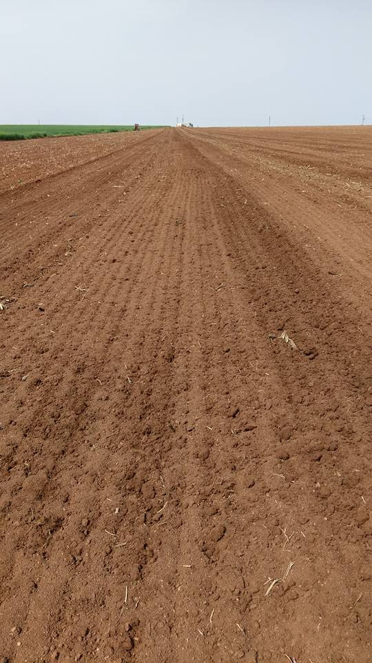 Kızıltepe Alakuş Köyü Resimleri 3