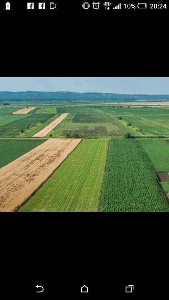 Kızıltepe Alakuş Köyü Resimleri 4