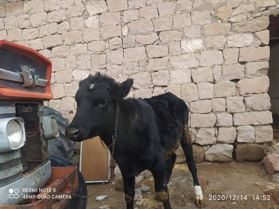 Kocasinan Hırkaköy  Köyü Resimleri 1