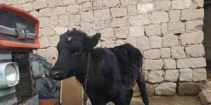 Kocasinan Hırkaköy  Köyü Resimleri