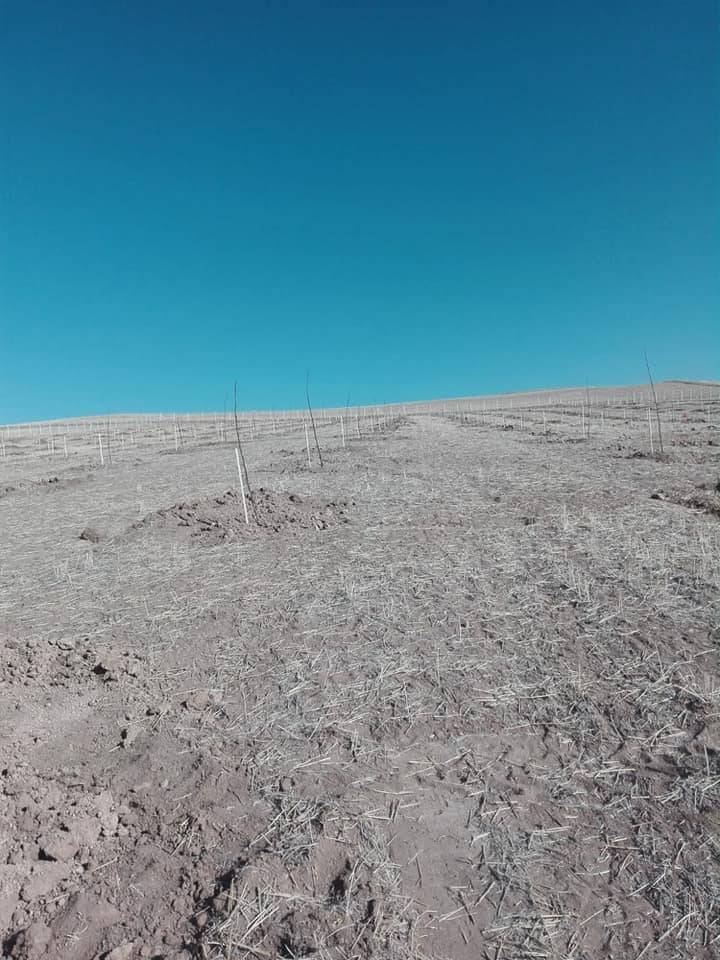 Kocasinan Kemer  Köyü Resimleri 1