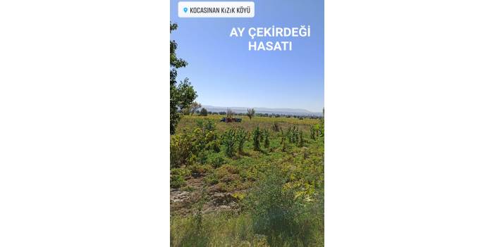 Kocasinan Kızık Köyü Resimleri