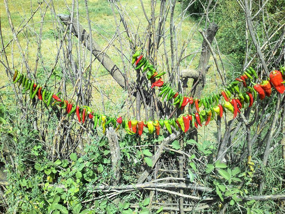 Pütürge Üçyaka Köyü Resimleri 4