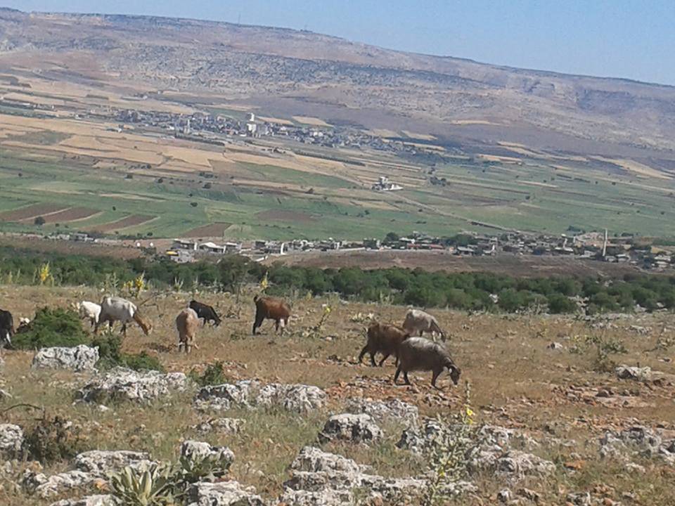 Yavuzeli Karabey Köyü Resimleri 4