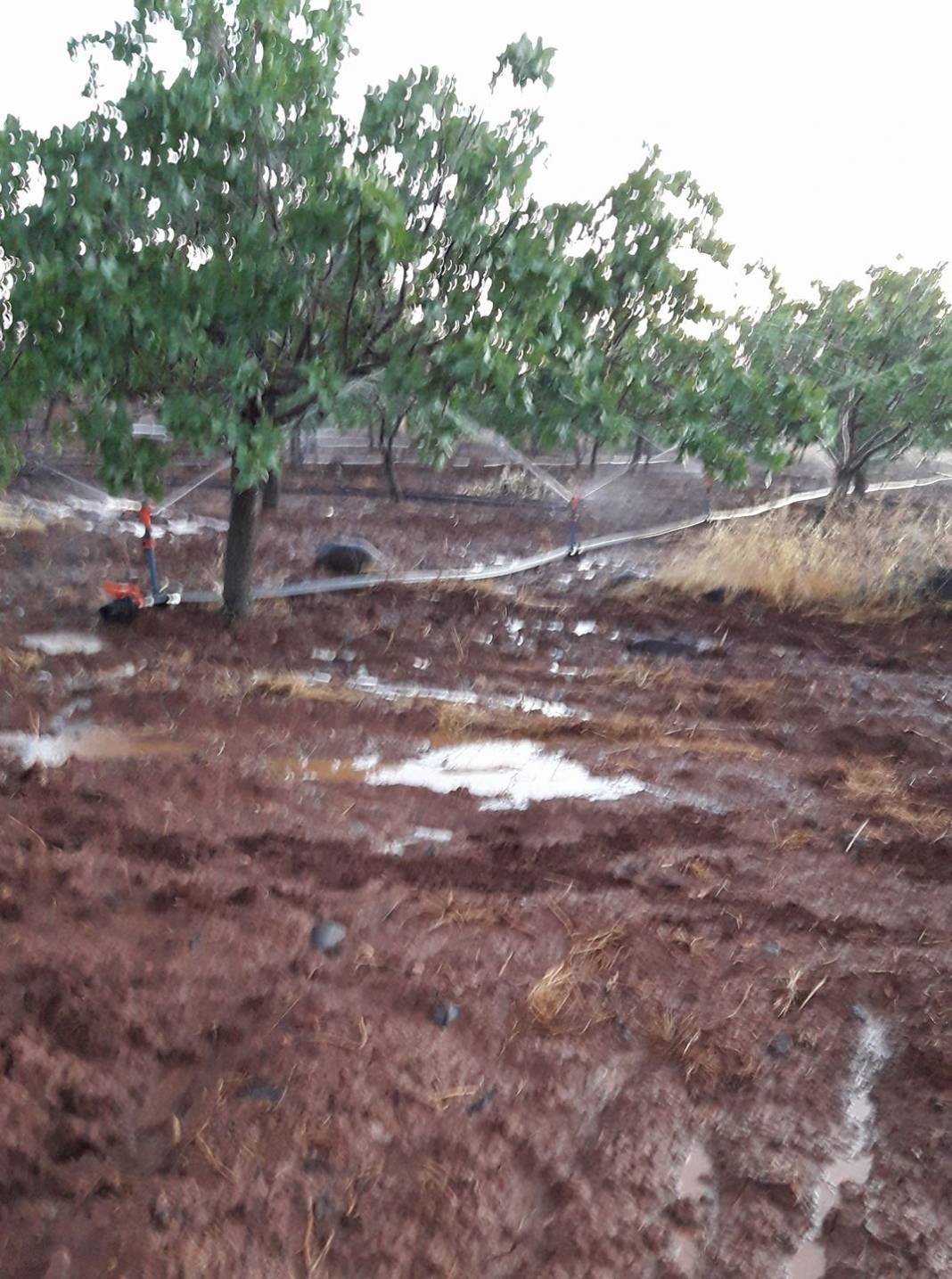 Yavuzeli Kuzuyatağı Köyü Resimleri 4