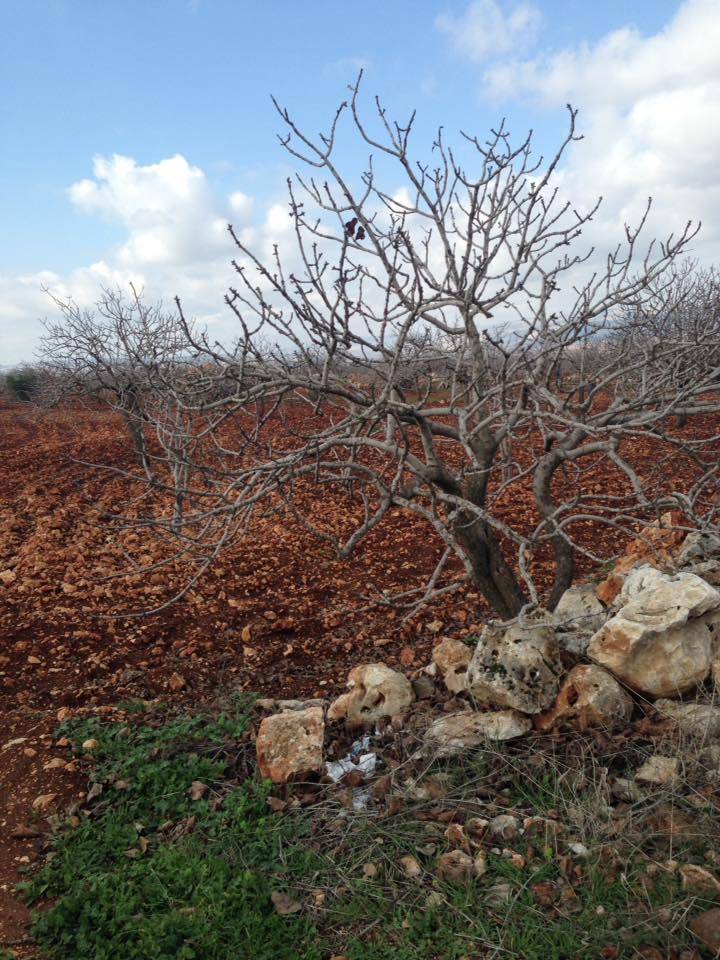 Yavuzeli Kuzuyatağı Köyü Resimleri 7