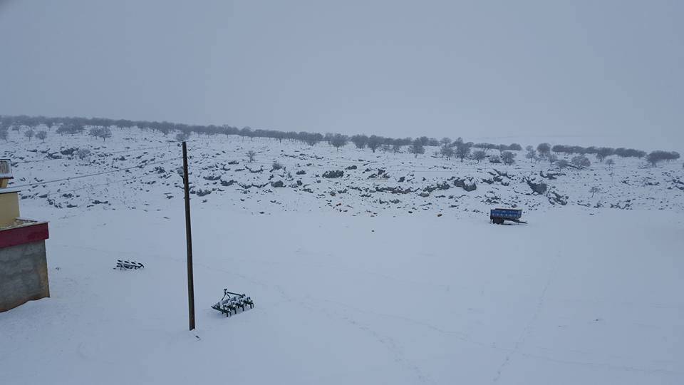Yavuzeli Tokaçlı Köyü Resimleri 11