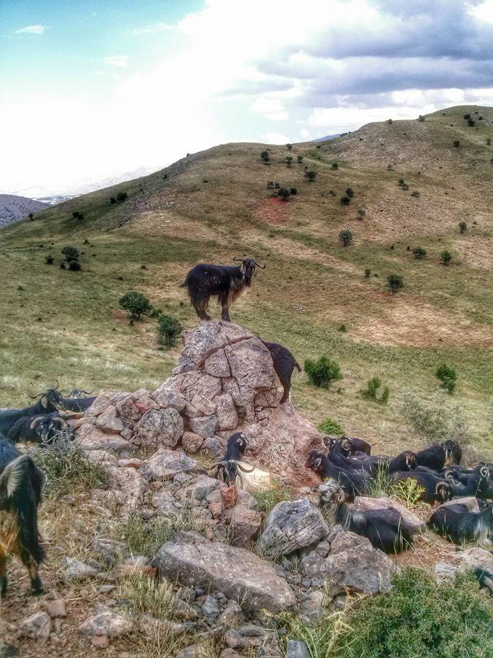 Yeşilyurt Atalar Köyü Resimleri 3
