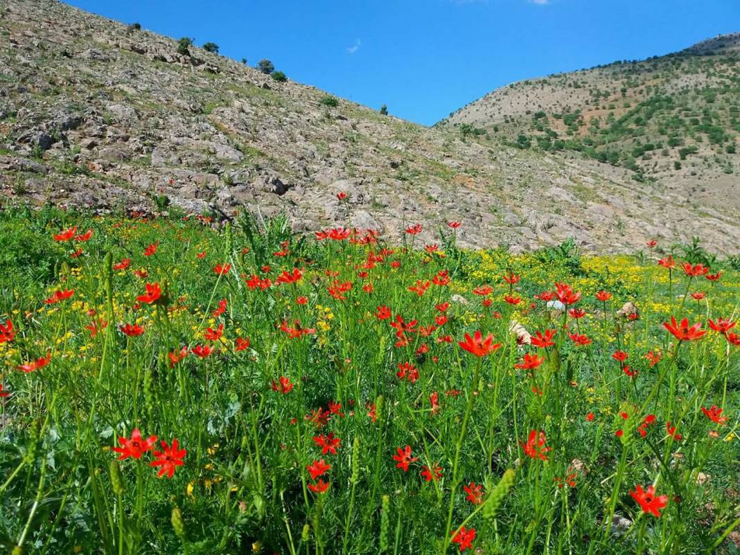Yeşilyurt Atalar Köyü Resimleri 7