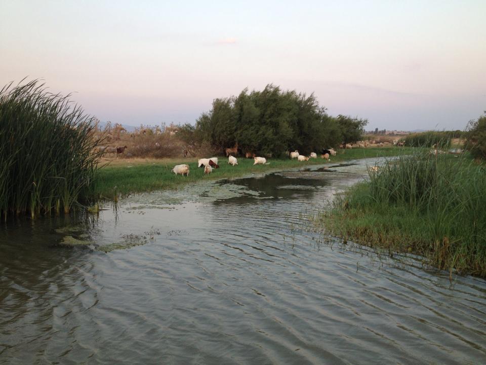 Akhisar Sazoba  Köyü Resimleri 4