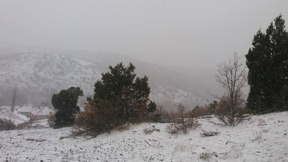 Yeşilyurt Bahçebaşı Köyü Resimleri 6