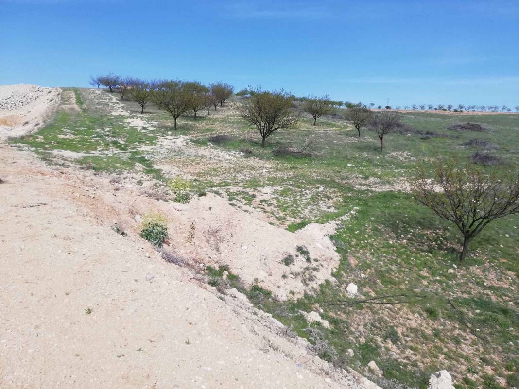 Yeşilyurt Çayırköy  Resimleri 7