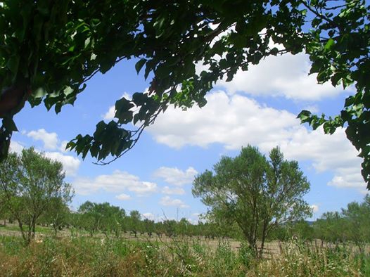 Akhisar Selvili Köyü Resimleri 2