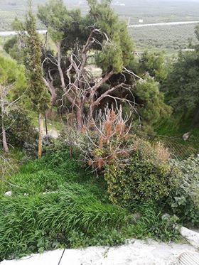 Akhisar Selvili Köyü Resimleri 4