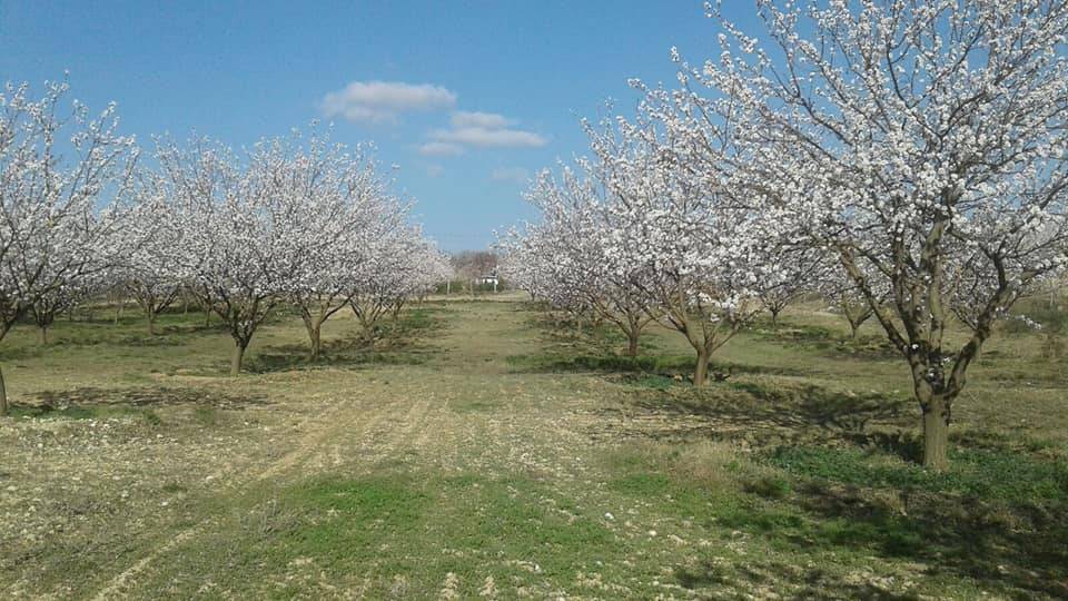 Yeşilyurt Duranlar Köyü Resimleri 2
