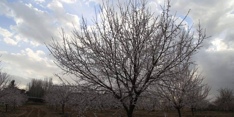 Yeşilyurt Gedik Köyü Resimleri 3