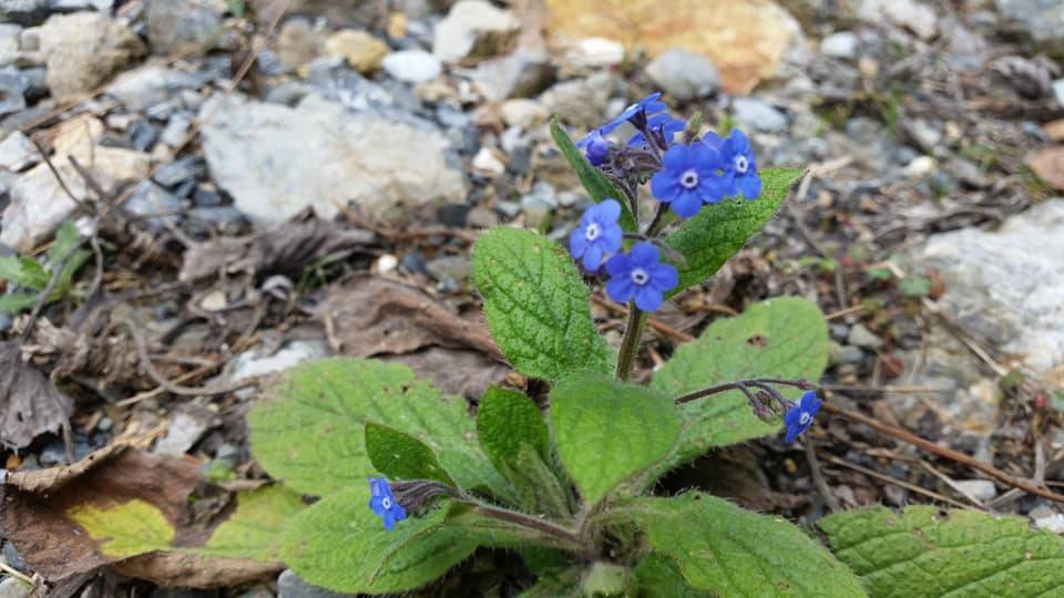 Yeşilyurt Gedik Köyü Resimleri 4