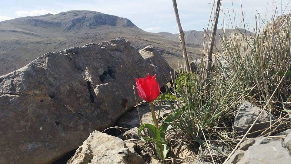 Yeşilyurt Görgü Köyü Resimleri 10