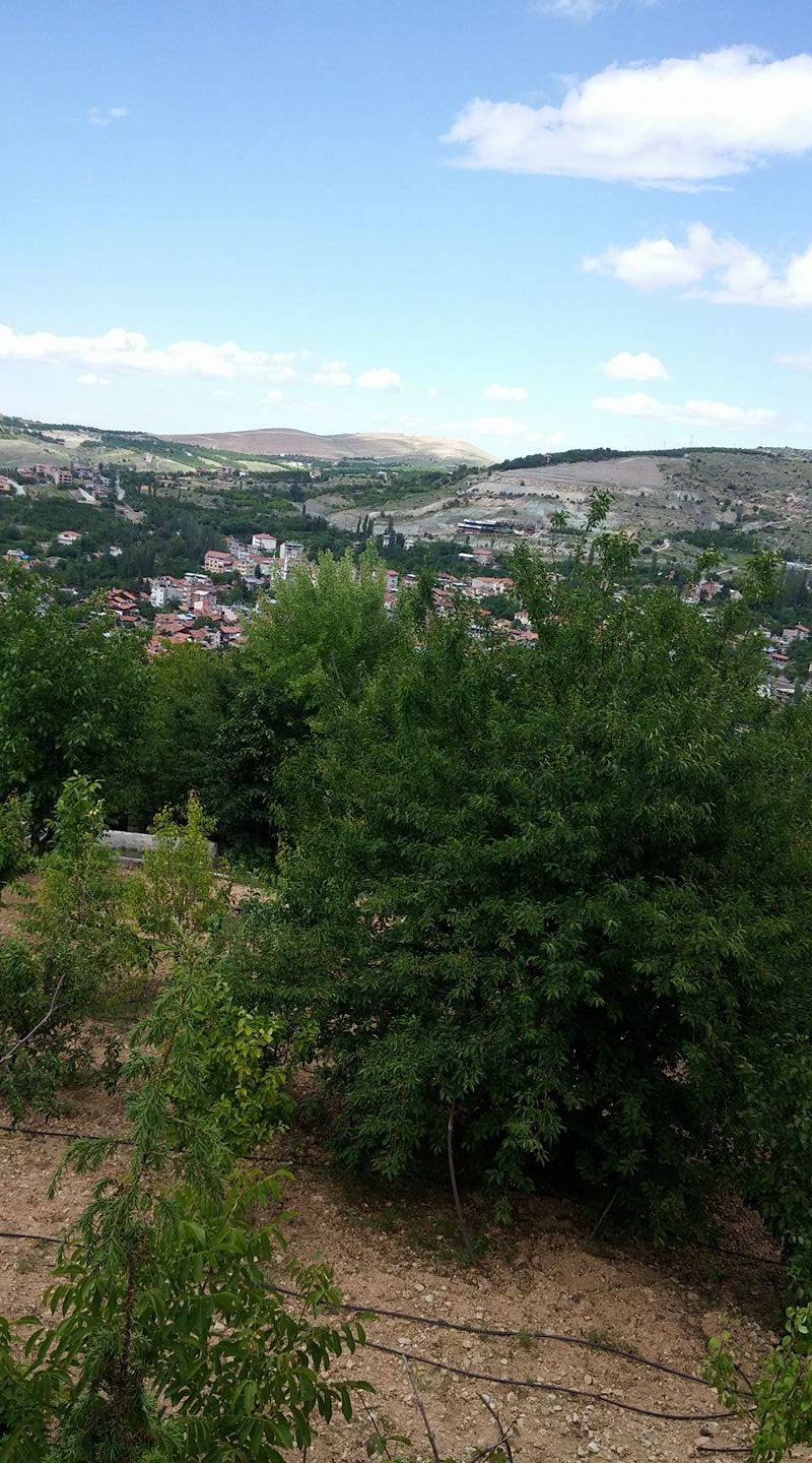 Yeşilyurt Gündüzbey Köyü Resimleri 2