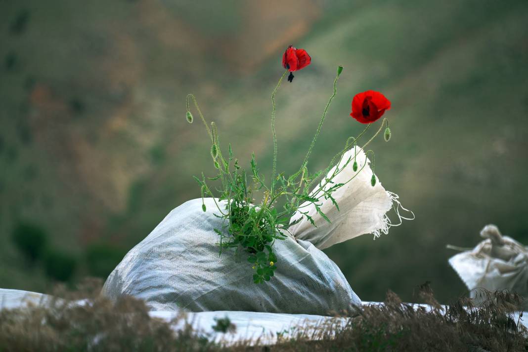 Yeşilyurt Gündüzbey Köyü Resimleri 4