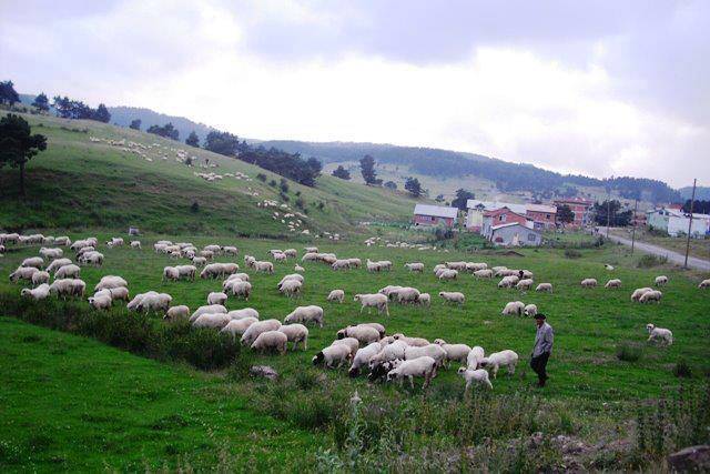 Yeşilyurt Işıklı Köyü Resimleri 1