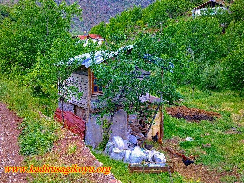 Yeşilyurt Kadiruşağı Köyü Resimleri 2