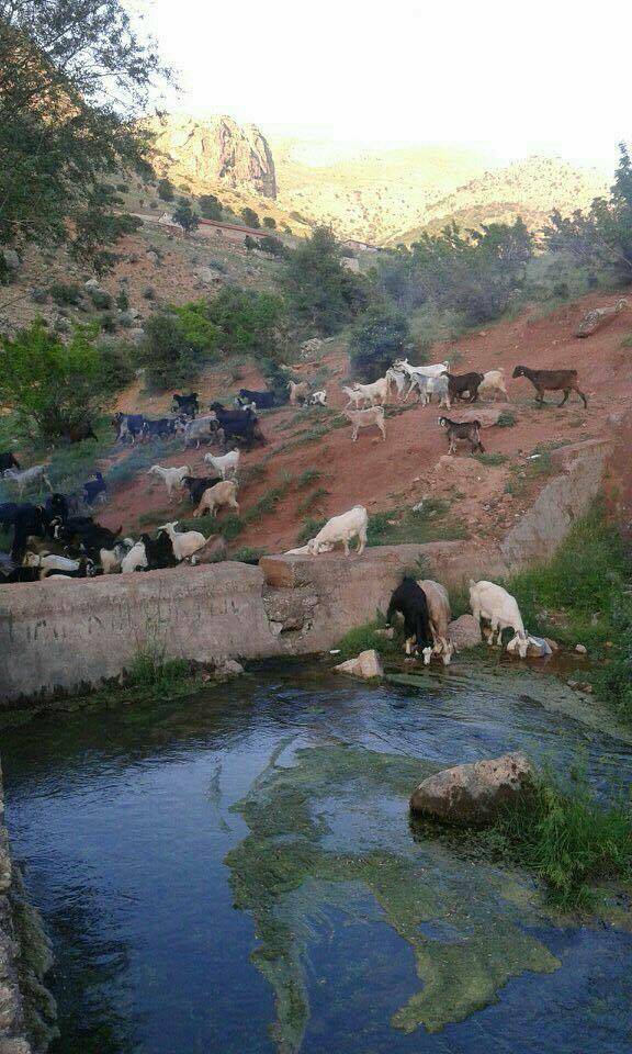 Yeşilyurt Kadiruşağı Köyü Resimleri 4