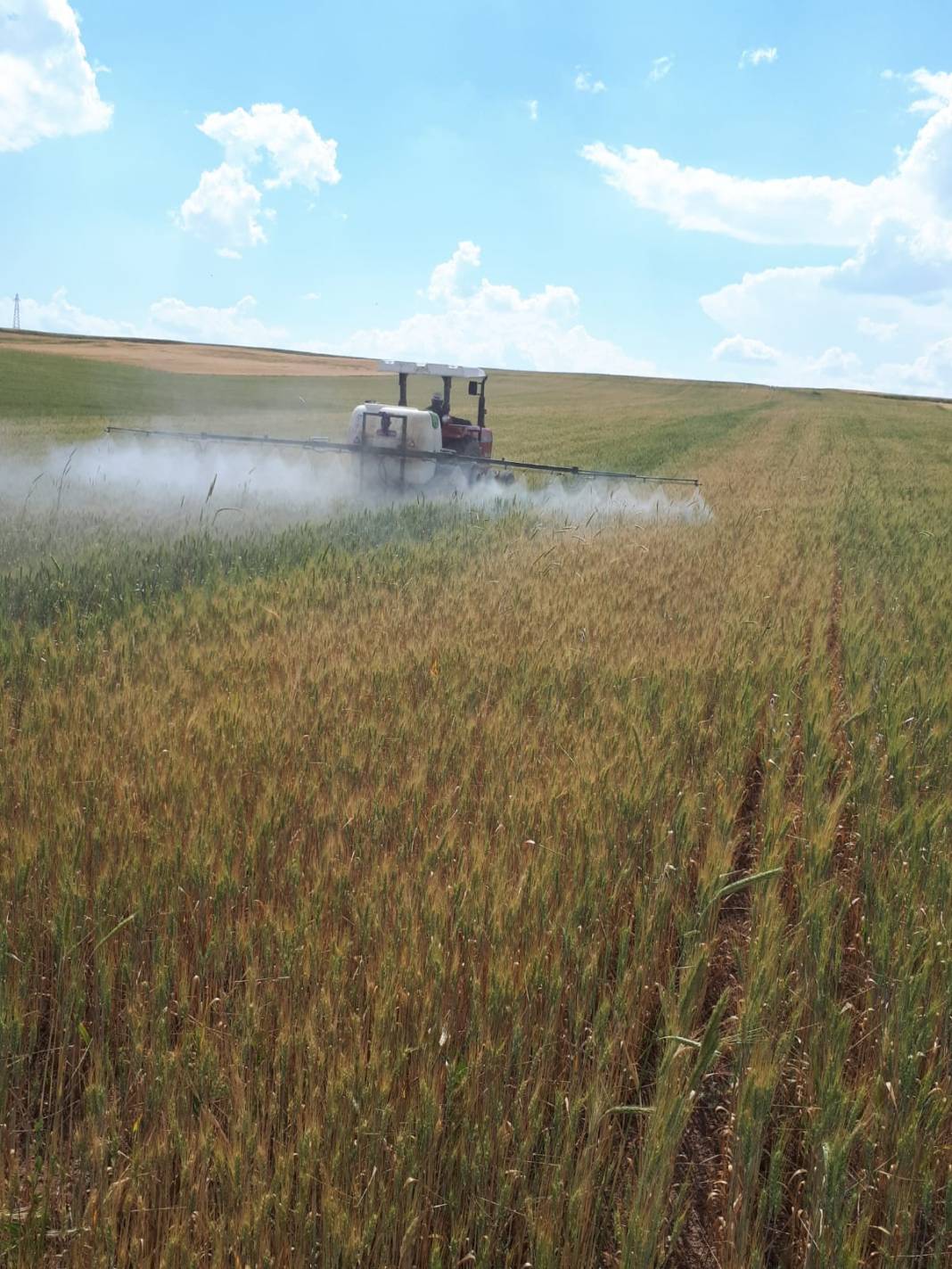 Yeşilyurt Kırlangıç Köyü Resimleri 4