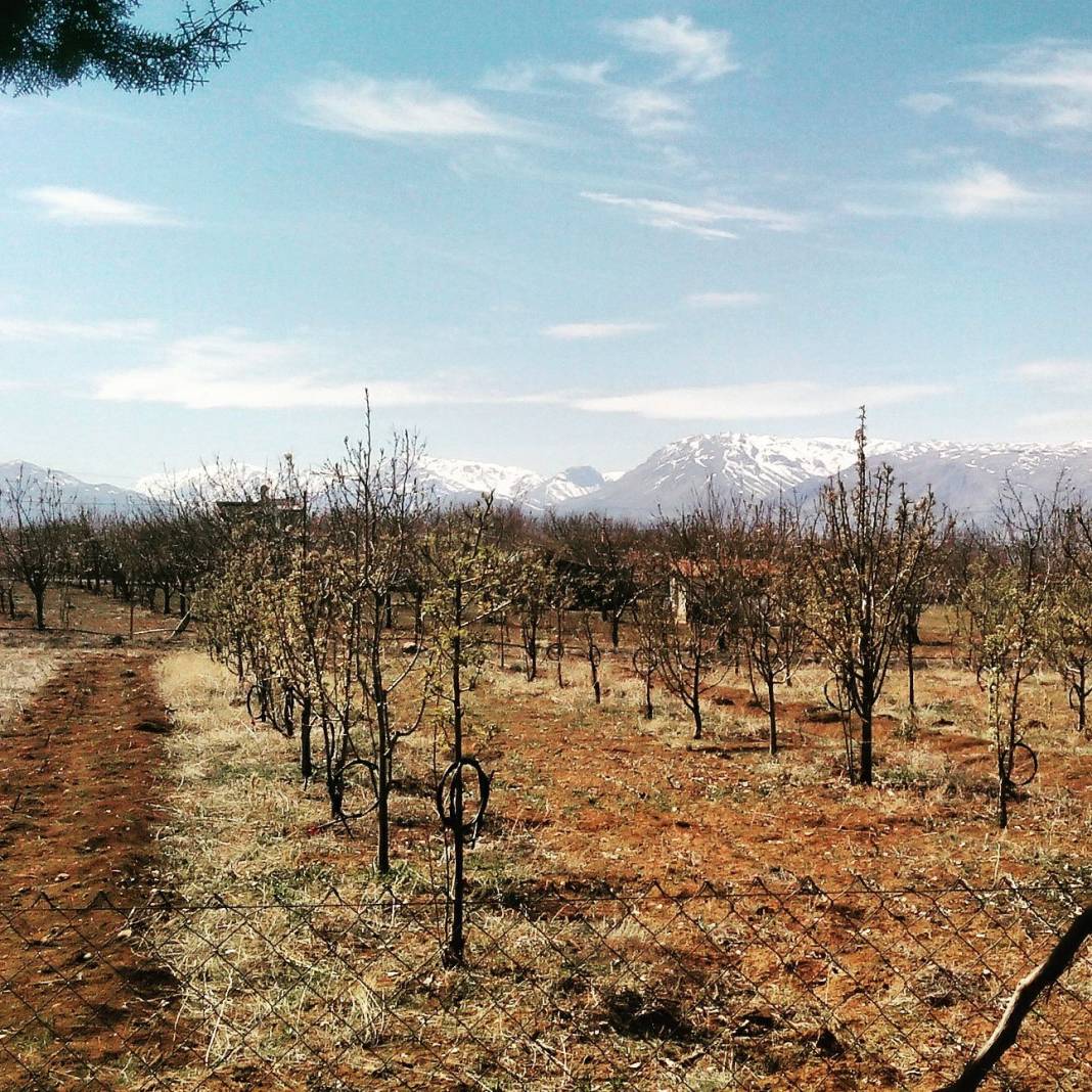 Yeşilyurt Kırlangıç Köyü Resimleri 5