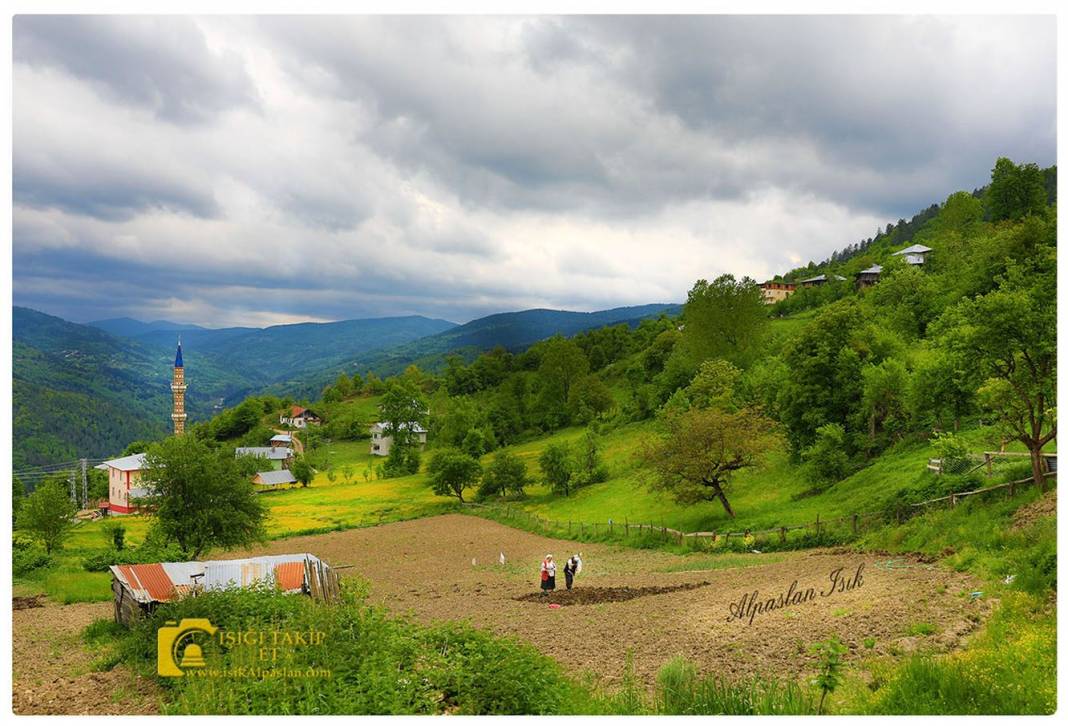 Melikgazi Alpaslan  Köyü Resimleri 3