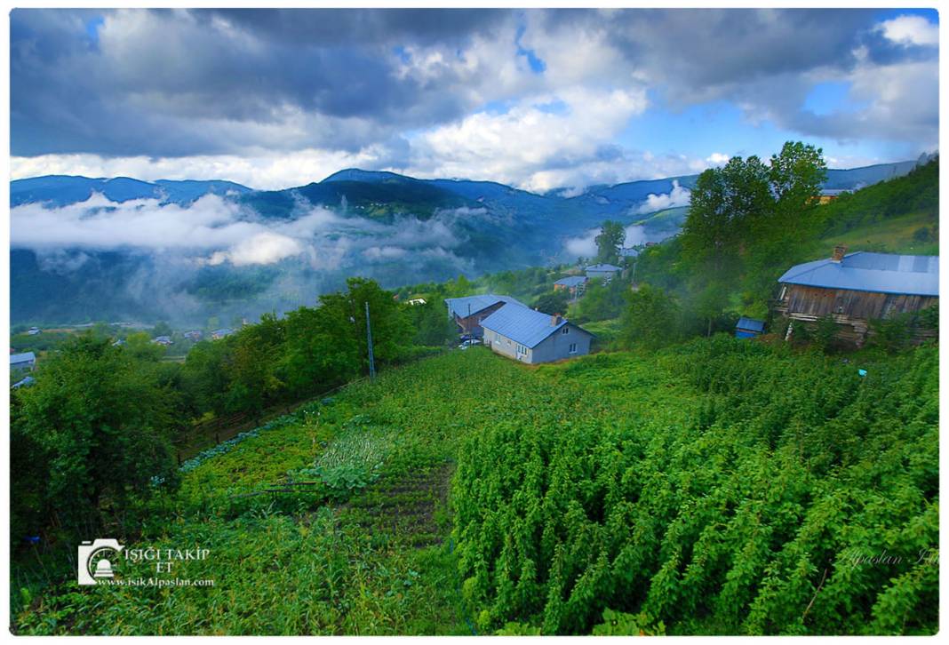 Melikgazi Alpaslan  Köyü Resimleri 4
