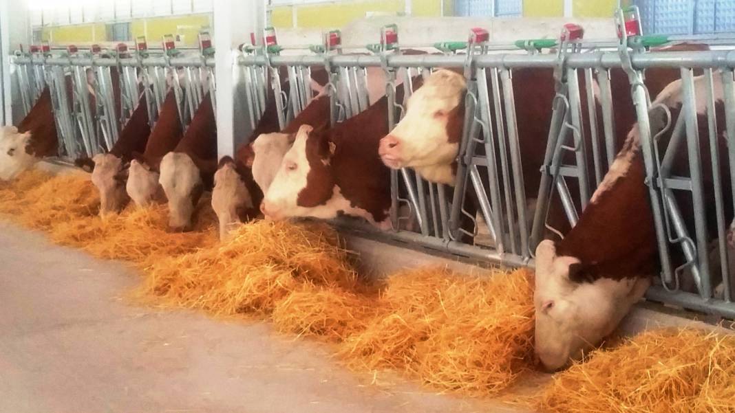 Melikgazi Fatih Köyü Resimleri 2