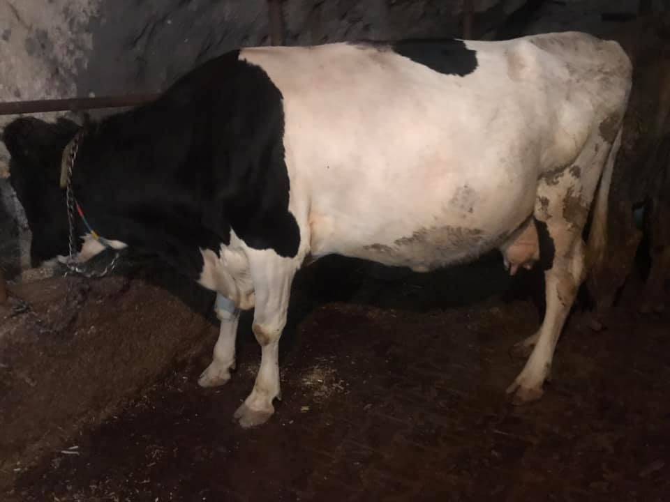 Melikgazi Gesi Köyü Resimleri 3