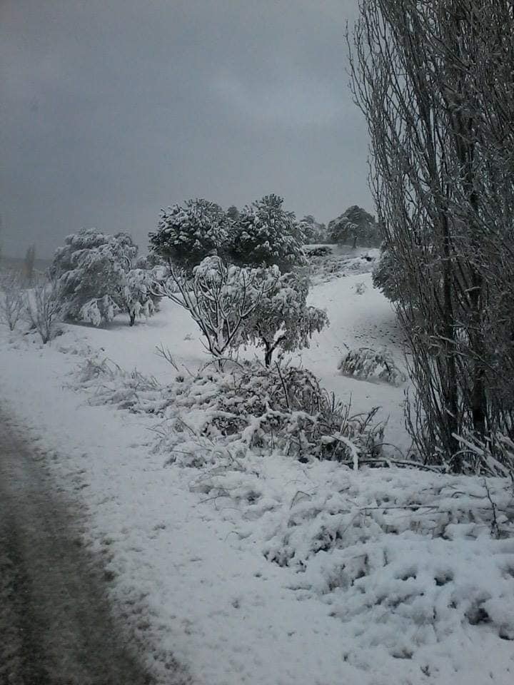 Akhisar Üçavlu Köyü Resimleri 2