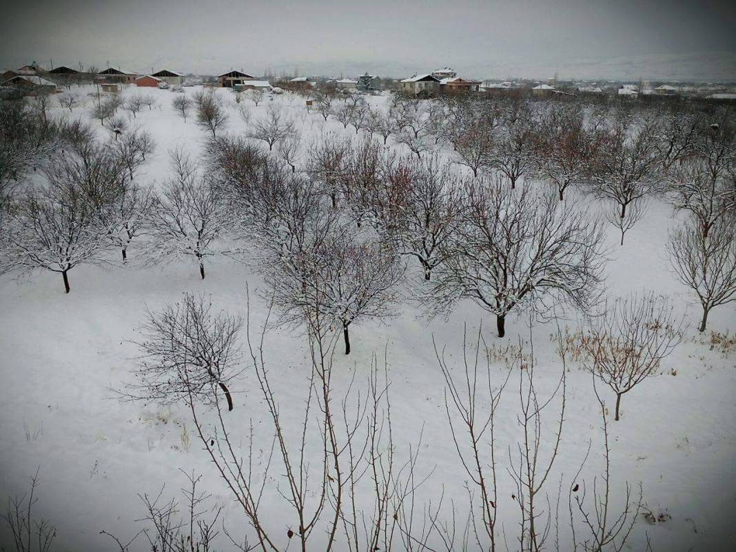 Yeşilyurt Tepeköy Resimleri 1