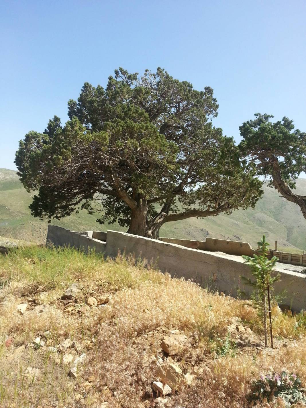 Yeşilyurt Üçgöze Köyü Resimleri 1