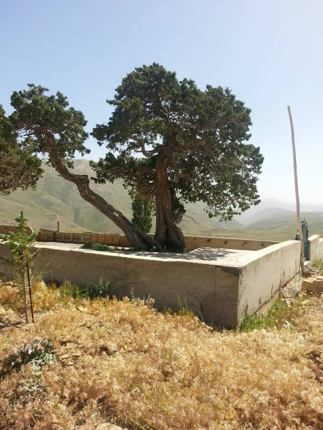 Yeşilyurt Üçgöze Köyü Resimleri 2