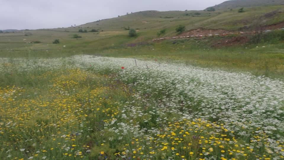 Özvatan Kermelik Köyü Resimleri 5
