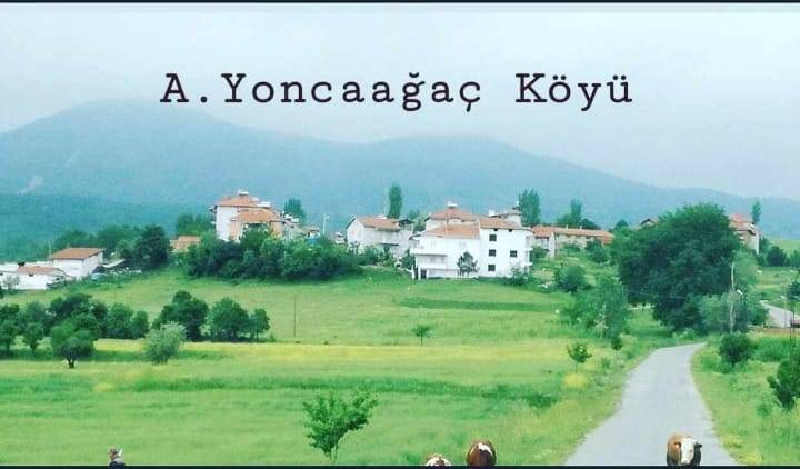 Hisarcık Aşağıyoncaağaç Köyü Resimleri 2