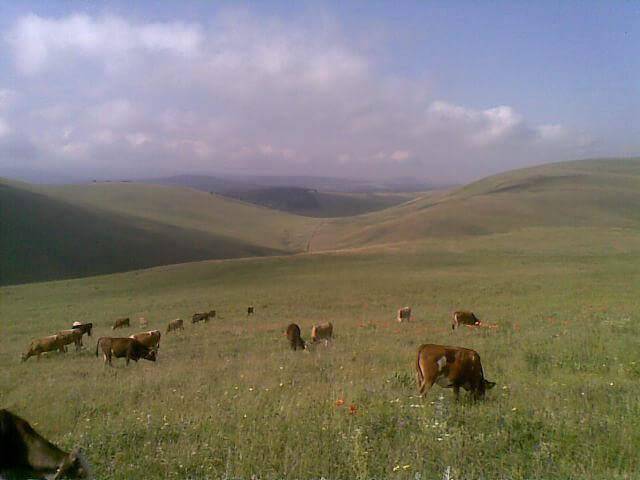 Hisarcık Çatak Köyü Resimleri 1