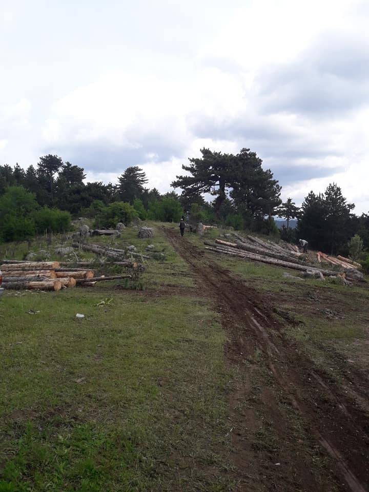 Hisarcık Güldüren Köyü Resimleri 1